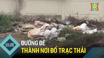 Đường đê thành bãi rác tự phát | Hà Nội đẹp và chưa đẹp