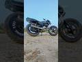#splendour #viralvideo #reels #followback #rider #followback