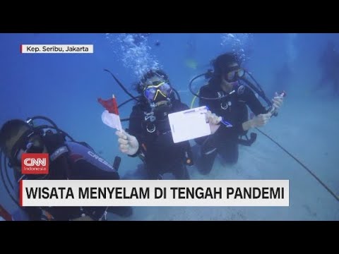 Video: Setelah 80 Tahun, Bahrain Akhirnya Membuka Perjalanan Menyelam Mutiara Untuk Wisatawan