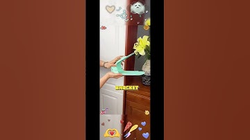 Double Shoe Rack to Save Space & Organize Your Shoe Cabinet