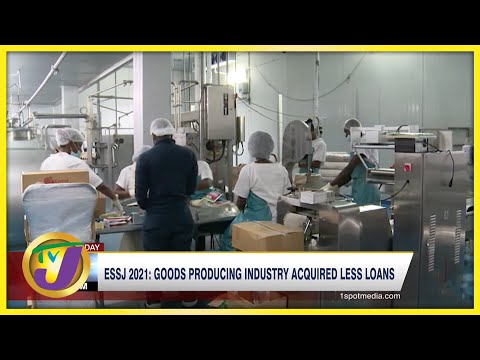 ESSJ 2021: Goods Producing Industry Acquired Less Loans | TVJ Business Day - July 28 2022