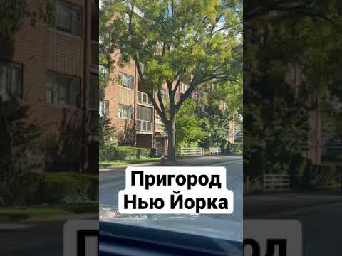 Video: Predgrađe New Yorka