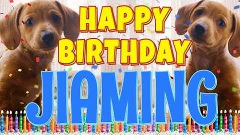 Happy Birthday Jiaming! ( Funny Talking Dogs ) What Is Free On My Birthday