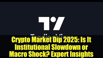 Crypto Market Dip 2025: Is It Institutional Slowdown or Macro Shock? Expert Insights