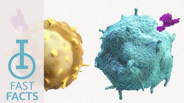 IOU YouTube: How does CD73 generate a suppressive environment?