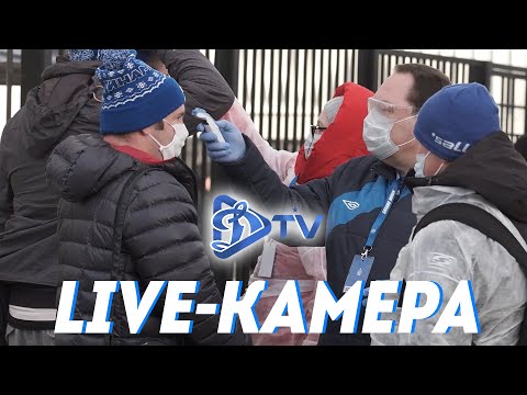 LIVE-КАМЕРА: #ДинамоТорпедо