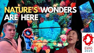 Osaka Expo 2025 Japan Guide: The Most Beautiful Nature Pavilions You’ll Want to Visit First