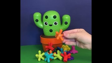 Carlos the cactus review