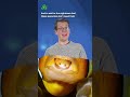 This parasite replaces your tongue. #shorts #science #SciShow