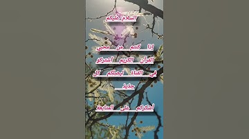 #shortvideo #العراق #القرآن_الكريم #المغرب #الجزائر #السعودية #islam #chocolate #الأم #تلاوة_خاشعة