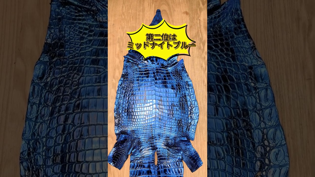 クロコ人気のブルー系ベスト3 気になる順位は？#クロコダイル革カラー 