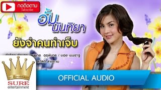 ยังจำคนทำเจ็บ - อั้ม นันทิยา  [OFFICIAL AUDIO]