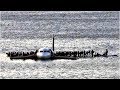 आप विश्वास नहीं करेंगे की कैसे बचे ये जहाज | 3 Times Huge Airlines Successfully Landed On Water