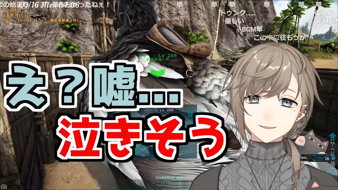 人間の優しさを知って泣きそうになる叶