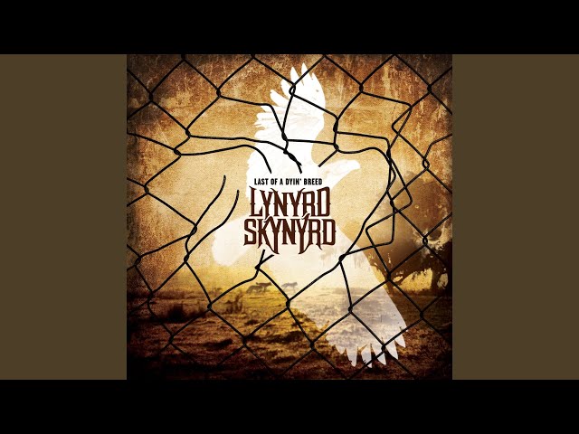 Lynyrd Skynyrd - Do It Up Right