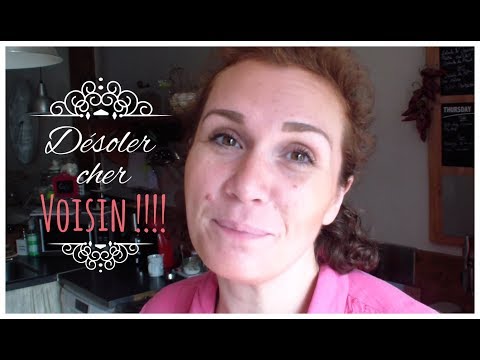 vlog-famille-du-5-août-one-pot-de-quinoa,-gâteau-citron-vert-coco,-clubs-sandwich-œuf-jambon