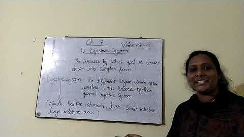 Class-4, Subject-Science , Ch.7 The digestive system & teeth, Video no 1