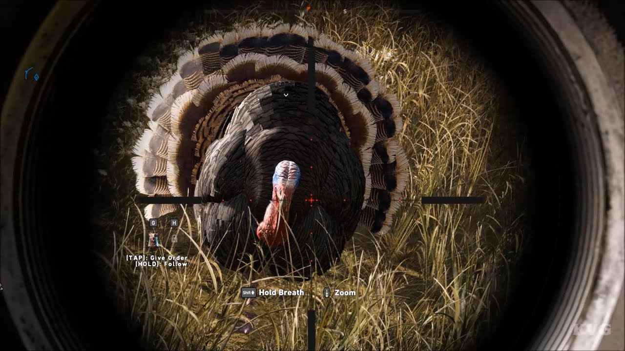 Far Cry 5 - Hunting Turkeys - Open World Free Roam Gameplay (PC HD