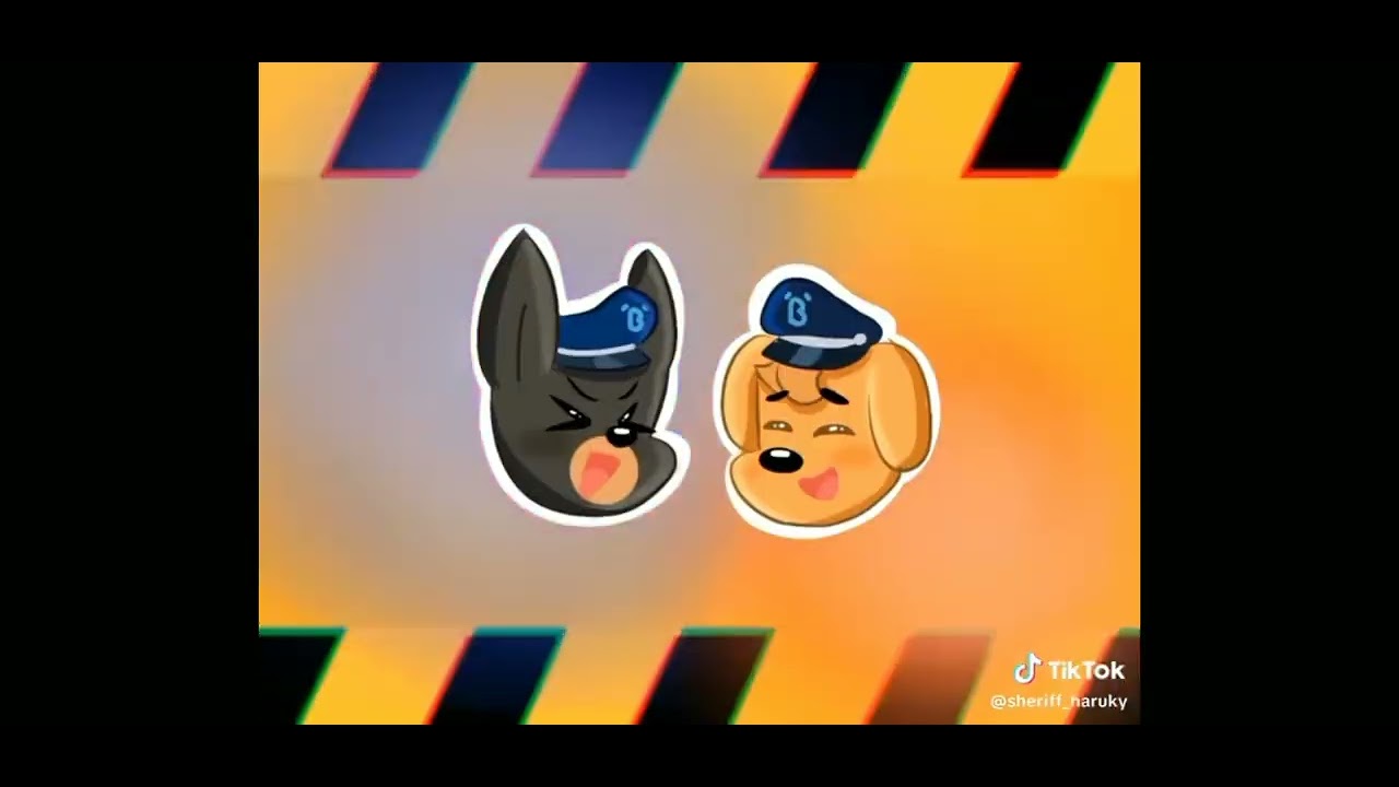 Tik Tok cảnh sát trưởng labrador p2:)))))