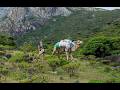 The Alien Destination - Socotra Island