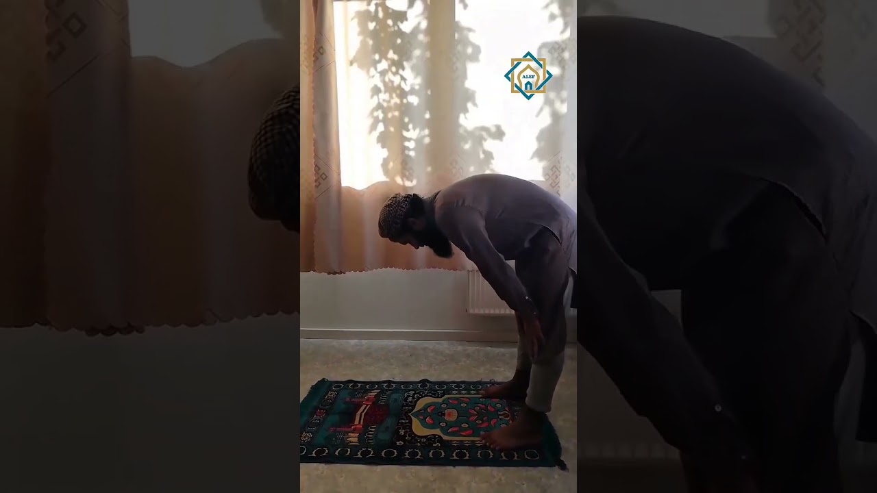 Significance of the 5 daily prayers #salat #prayer #islam
