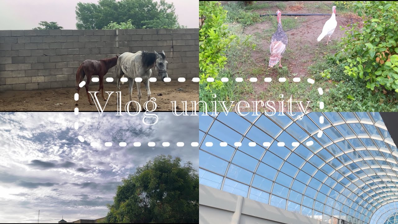 فلوق اول اسبوع بالجامعه🏫||vlog university 
