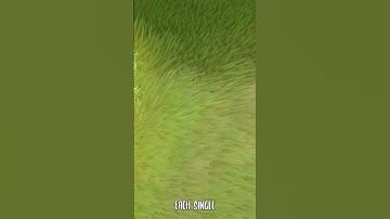 I Went from NOOB to PRO in 6 Months Creating STYLIZED GRASS in My Game!