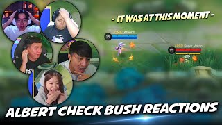 ALBERTT CHECK BUSH MISTAKE REACTIONS . . . 😮