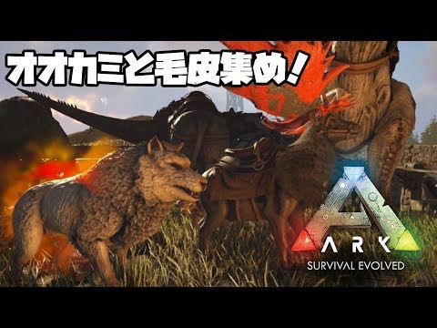 Arkモバイル スマホ版ark １１ Pveサーバー 防寒具のため毛皮集め メガロケロス狩りに出発 メタルもいっぱい Ark Survival Evolvedアークサバイバルエボルブル Youtube