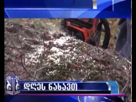 28 ნოემბრის დღის ქრონიკის ანონსი