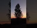 ДОБРОЕ УТРО В РОДИТЕЛЬСКОМ ДОМЕ...!!!.