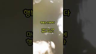 행복은 선택이다 #동기부여숏츠 #자기계발숏츠 #shorts #윌리엄제임스 #행복은선택이다 #심리학적행복론 #긍정적인삶 #삶의지혜 #내적성장 #정신적성장