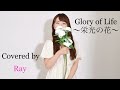Glory  of  Life~栄光の花~/mink covered by Ray