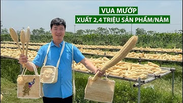 Vua Mướp Xuất Khẩu Hơn 2,4 Triệu Sản Phẩm Mỗi Năm | Người Đặc Biệt