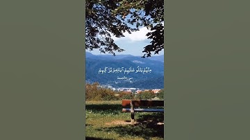 يُسَبِّحُ لِلَّهِ مَا فِي السَّمَاوَاتِ || سورة الجمعة || علي جابر