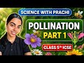 Pollination Class 5th ICSE
