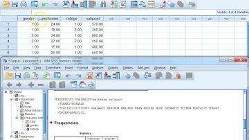 SPSS 1 Chapter 2: Descriptive Statistics