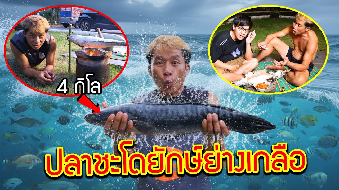 ปลาชะโดยักษ์ย่างเกลือ!! ปลาโหดแห่งลุ่มแม่น้ำจืด เนื้อเหนียวสะใจ