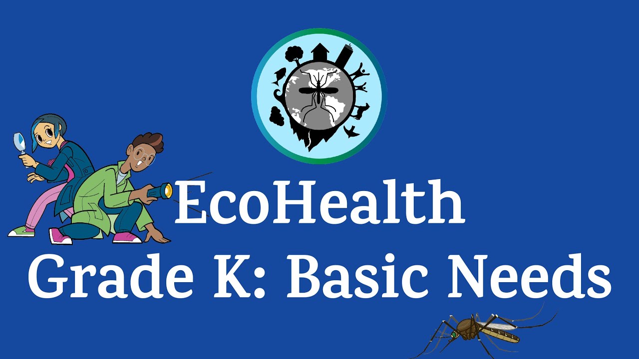 EcoHealth Grade K: Basic Needs - YouTube