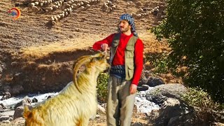 Dengbej Tahiro ~ Ez Gelalim Dengbeji _ Eski Kürtçe Uzun Hava