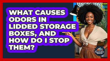 What Causes Odors In Lidded Storage Boxes, And How Do I Stop Them? - Your Organization Mentor