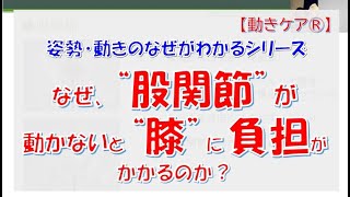 なぜ、“股関節” が動かないと “膝”に負担がかかるのか？