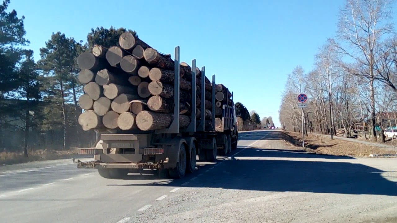 Лесовозы песня макс