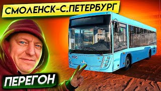 Перегон Автобуса Смоленск-Санкт-Петербург