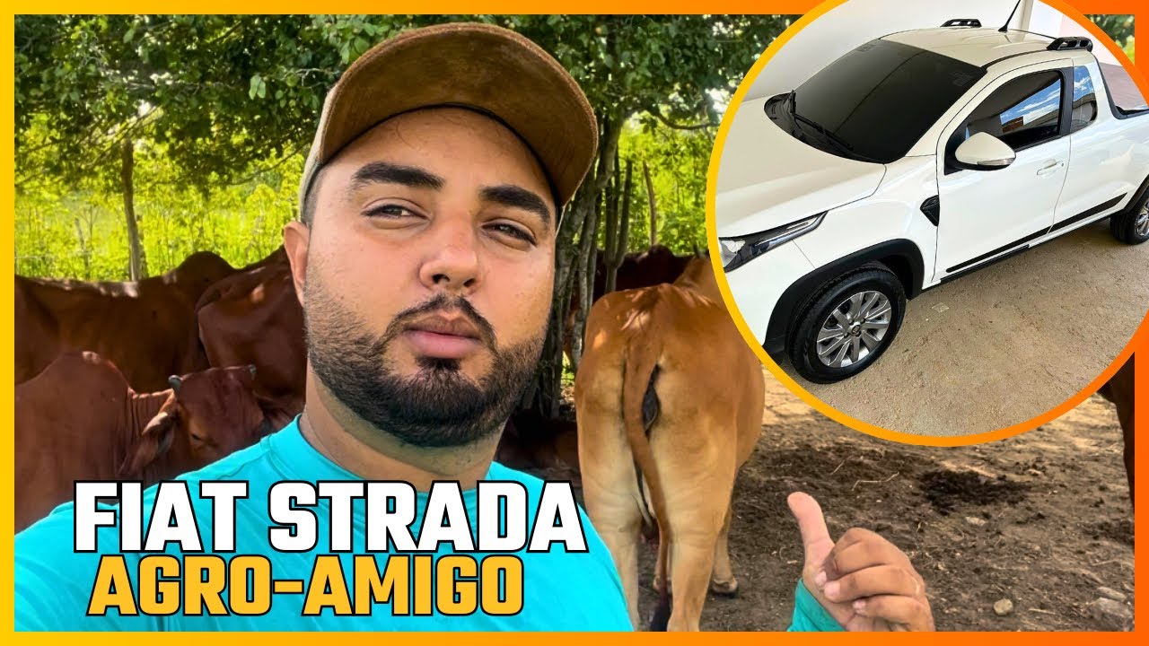 FINANCIAMENTO RURAL COM JUROS BAIXO - AgroAmigo e Pronaf