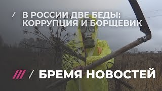 Что общего у Путина и борщевика, и как сорняк может спасти Россию?