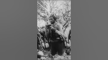 LAMPIÃO - THE BANDIT KING OF BRAZIL. #SHORTS