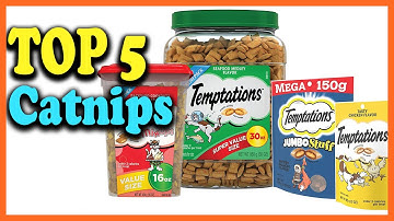 Top 5 Best Catnips of 2025