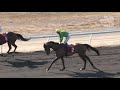 View race 6 video for 2020-07-11