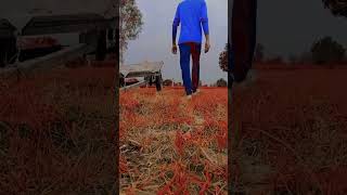 New Real Videoviral 3